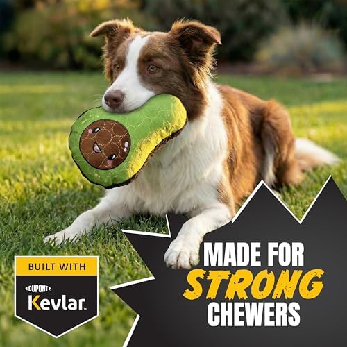 Bite Force - Durable & Strong Dog Toy Avocado Squeaker, Kevlar-Reinforced for Aggressive Chewers for Small Medium Large Dogs - Green.
