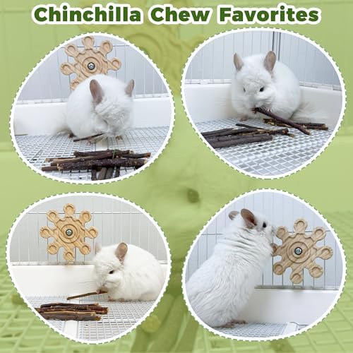 Rotating Chinchilla Chew Toys and 250g(0.55lb) Organic Apple Sticks