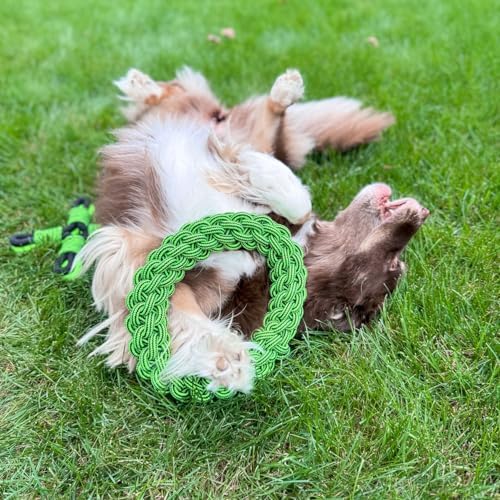 Jolly Pets TIK-Tak-Tugzz Woven Rope Dog Toy, O Shape, Large/XL