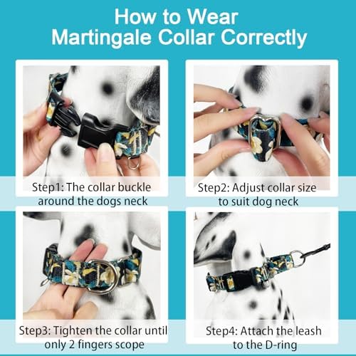 Martingale Collar for Dogs with Buckle No Pull, Golden Floral, L