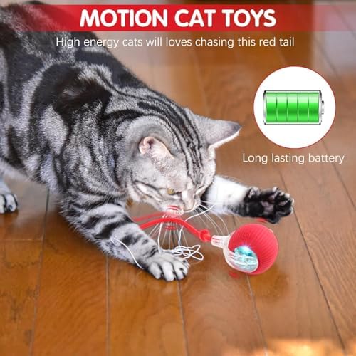 Automatic Interactive Cats Toy Ball for Indoor Rechargeable Self-Rolling