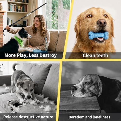 Flirt Pole for Dogs Heavy Duty - Upgraded 33" Detachable Dog Pole Toy with 5 Varied Lures, Includes XL Carry Bag