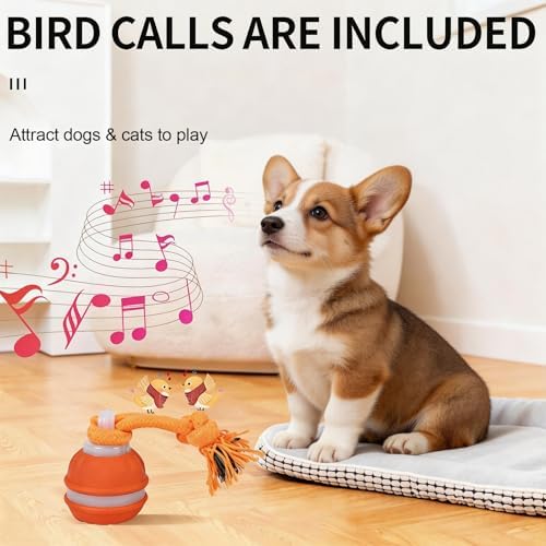 2 Pcs Interactive Dog Toy, Automatic Rolling Ball with Bird Sound, Pet Toys