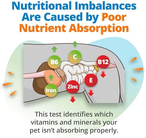 5Strands Pet Nutritional Imbalance Test, Health Assessment for Dogs & Cats | 112 Items Tested, Identify Vitamin & Mineral Deficiencies in Pets with a Hair Sample, At-Home Collection Kit, 4-Day Results