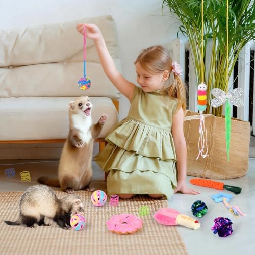 17Pcs Ferret Toys Set, Interactive Chew & Enrichment Toys for Small Pets