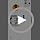 Smart Pet ID Tag with QR Code & NFC – Epoxy Coated Waterproof PVC – Scan or Tap to Access Pet Info – Universal Tag for Dogs & Cats – No App Needed – Update Profile Anytime (White)