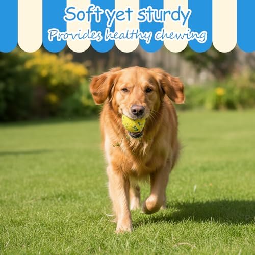10 Pcs Dog Balls, 2.5 Inch Indestructible Tennis Balls for Aggressive Chewers, Durable Bouncy Interactive Toys Fetch Game and Teething Chew for Large Medium Small Dogs and Puppies, Colorful