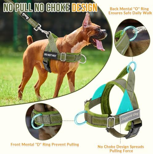 Lukovee No Pull Dog Harness and Leash Set, Soft Padded for Large Medium Dog