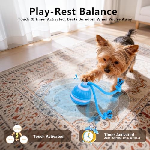 Interactive Dog Toys Ball, 3 Modes & Powerful Motor, Random Movement & Swinging Rope, Bird Chirping Stimulate, USB C Rechargeable for Small Medium Dogs for Boredom, Anxiety Relief
