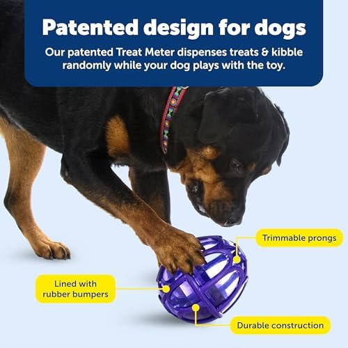 PetSafe Busy Buddy Kibble Nibble Treat Dispensing Dog Toy, Medium/Large | Slow Feeder Holds up to 3.5 Cups of Food, Adjustable Prongs Customize Treat Flow, Top-Rack Dishwasher Safe, for Dogs 20+ Lb