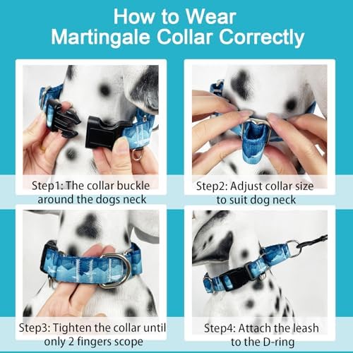 Martingale Collar for Dogs with Buckle Dog Collar Adjustable Soft Nylon Boy Dog Collars for Extra Large Dogs, Blue Sunset