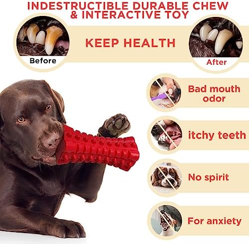 Indestructible Squeaky Dog Toy – Tough Rubber Chew Toy for Aggressive Large Dogs, Durable and Safe for Interactive Play