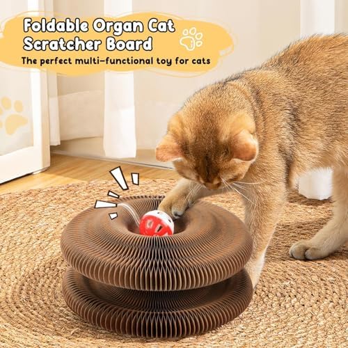 2-Pack Upgraded Kitty Curls Cat Scratcher, Magnetic Multi Shape Twisty Paws Cat Toy with Play Ball, Interactive Cats Toys for Indoor, Flexible Scratcher for Protection Furniture