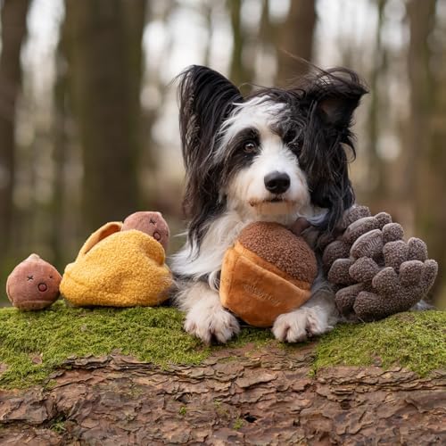 CHEWFFON Interactive Dog Toy, 4 Piece Set Hide-and-Seek to Keep Them Busy