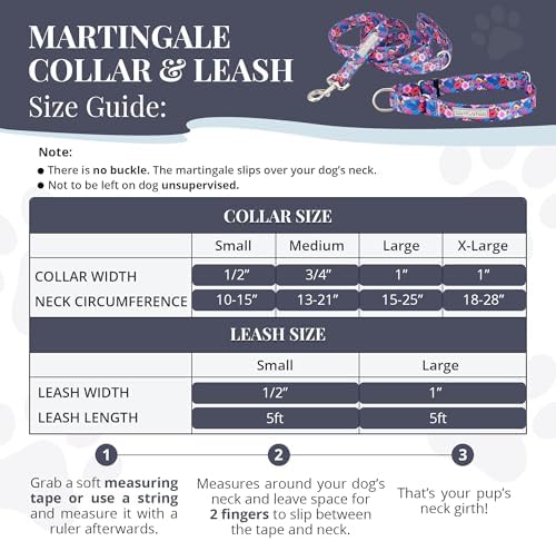 Lucky Love Dog Martingale Collar & Leash Set No Slip Cute – Zuzu, Medium