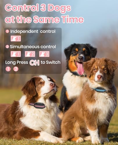2-in-1 Bark Collar & Shock Collar for Dogs, 3300Ft Dog Training Collar with Remote 2 Pack - Anti Bark/Beep/Vibration/Shock 4 Modes, IP67 Smart Dog E Collar with 5 Adjustable Sensitivity for All Breeds