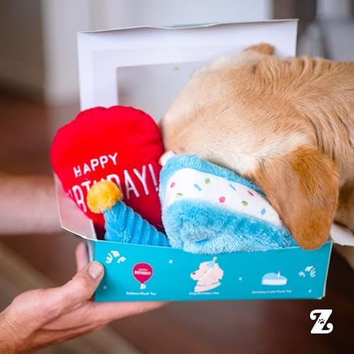 ZippyPaws Birthday Box Dog Squeaky Toys to Keep Them Busy - 3-Pack