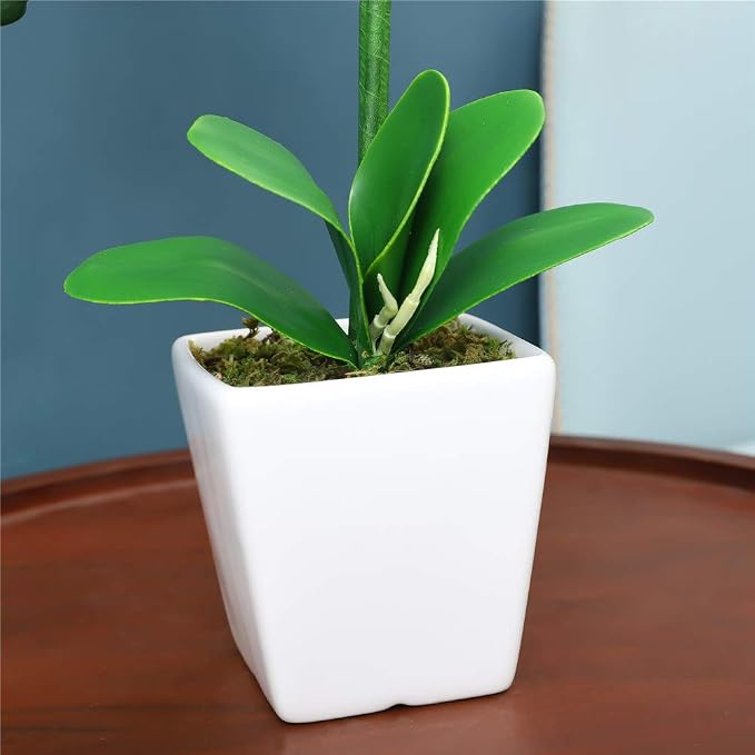 15" Silk Phalaenopsis Orchid in Square Pot, Purple Blue Flower Arrangements | Lifelike Faux Potted Blooms with Moss in a Ceramic Planter. Looks Real, Zero Upkeep, Ideal Centerpiece for Any Table