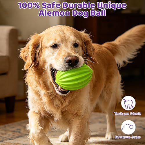 Yipetor Alemon Smart Interactive Dog Ball, Keeping Medium & Large Dogs Busy