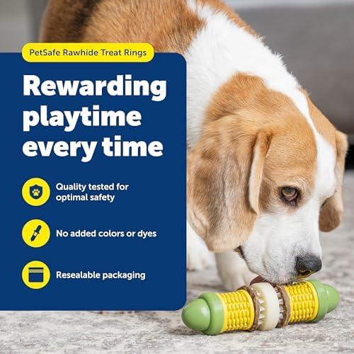 PetSafe Busy Buddy Dog Treat Rings Variety Pack, Medium, Size B, 60 Count