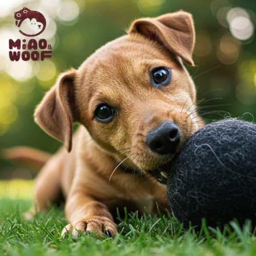 Wool Dog Balls (3 PCS) Soft & Chew-Resistant for Dogs Puppies