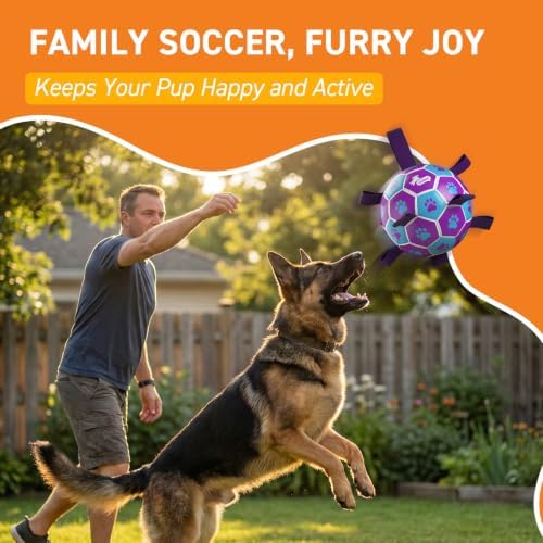 QDAN Big Dog Toys, Large Herding Ball for Dogs Large, Outoor Soccer