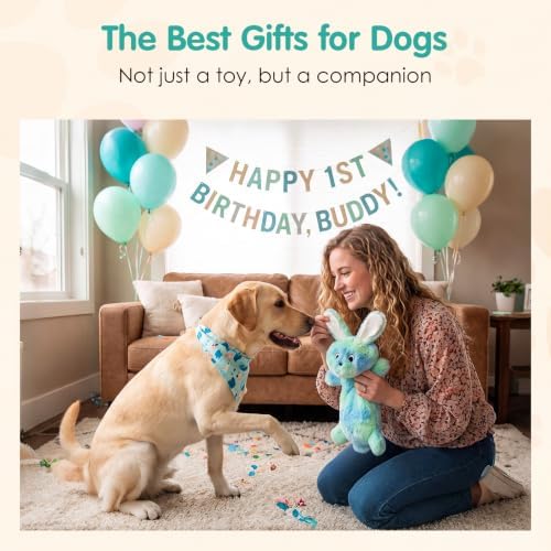 Fuufome Squeaky No Stuffing Dog Chew Toy, Interactive Crinkle Toy for Dogs