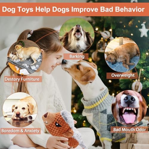 Letsmeet Dog Toys - Squeaky Interactive Plush Dog Toy with Rope, Chew Toy for Large Dogs, Small Dogs & Puppies - Tug of War Dog Toy for Aggressive Chewers, Pet Toys for Dogs