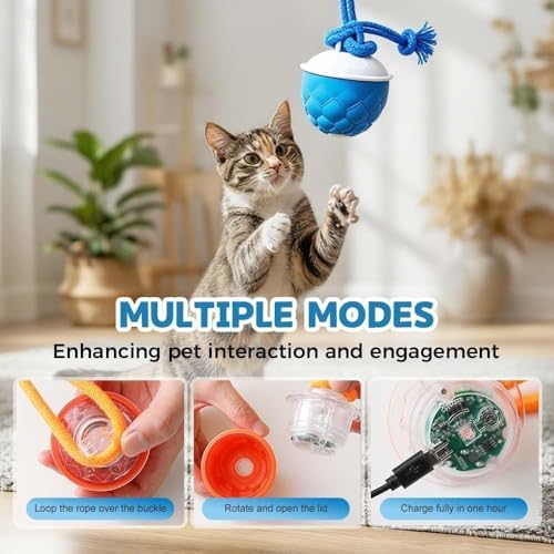 Interactive Dog Toys Motion Activated Automatic Rolling Ball Toys for Small/Medium/Large Dogs Balls for Boredom to Keep Them Busy with USB Rechargeable (Orange)