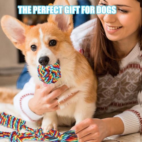 Celery Tough Dog Toys for Aggressive chewers - 4 Pack Durable Cotton Rope chew Toys for Large Dogs and Medium, Interactive tug of War, Teeth Cleaning, Puppy Training and Fetch Play (4 Pack)