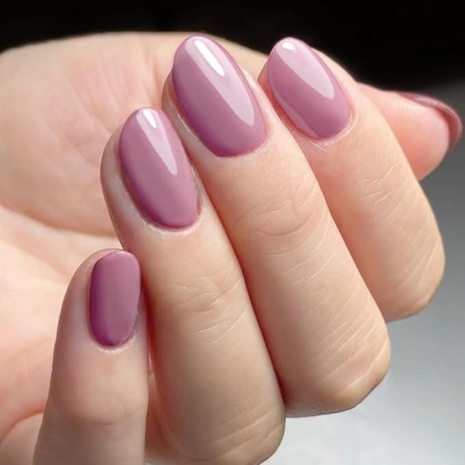 AILLSA Mauve Gel Nail Polish Dusty Pink Gel Polish Nude Rose Nail Polish Light Purple Natural Nails Prune Color Fall Winter Soak Off U V Nail Art Holiday Gift For Women 0.51 Fl Oz