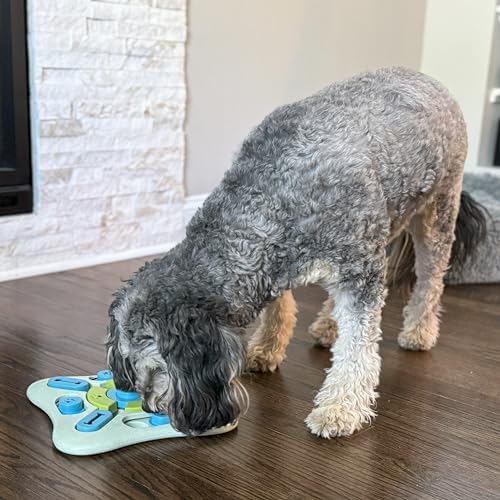 SPOT Seek A Treat Slide' N Turn Puzzle -Interactive Dog Puzzle Toy for Small, Medium & Large Smart Dogs and Cats, Squeaky, Enrichment and Mentally Stimulating Toy for Training and Boredom Buster
