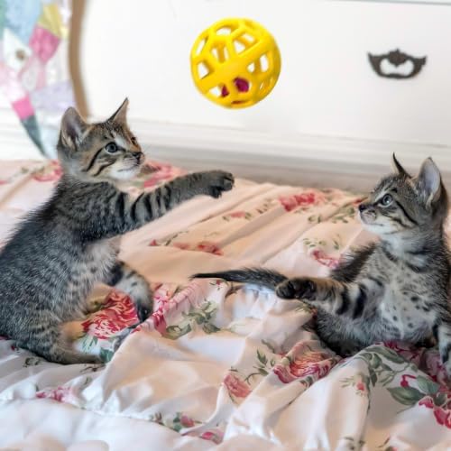 4pcs Dog & Cat Ball Toy Interactive Chasing Balls with Bell for Pet