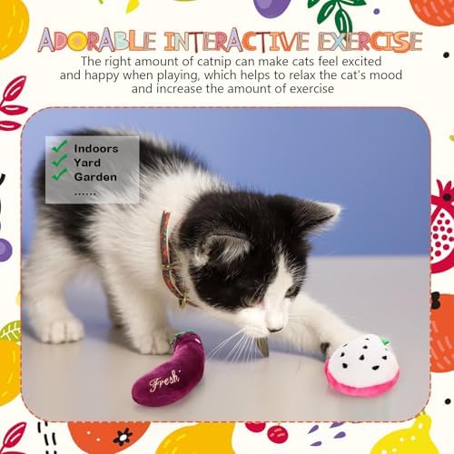 14 Pack Christmas Catnip Cat Toys, Fruit and Vegetable Shape