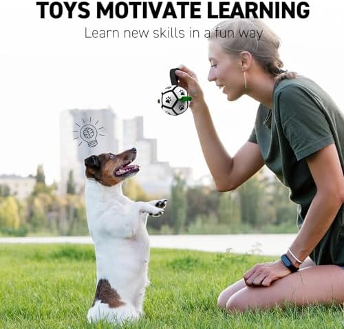 QDAN Small Dog Toys, Puppy Balls, Dog Balls with Straps for Small Breed