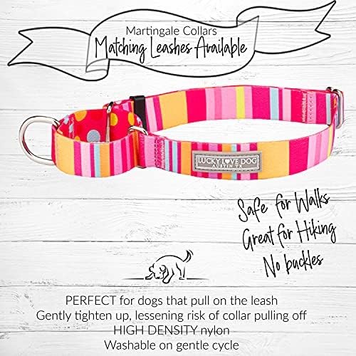 Lucky Love Dog Martingale Collar for Large Dogs No Slip Cute – Molly, Large
