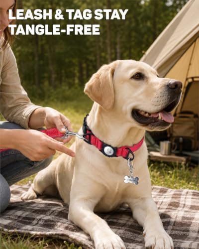 Padded Dog Collar with Waterproof Holder Compatible with Airtag