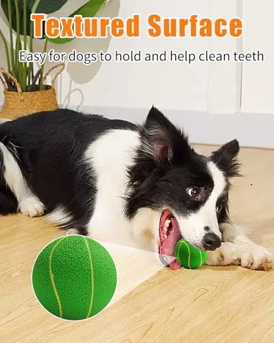 Squeaky Dog Balls, Interactive Funny Puppy Chew Toys for Fetch Play to Keep Them Busy, Latex Rubber Pet Tennis Soccer Ball Toy Bundle (4 Pack) for Medium Breed Dogs