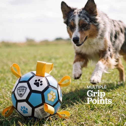 Interactive Dog Soccer Ball for Dogs, 6” with Straps & Grab Tabs, Floats on Water, Fetch & Training Toy for Small/Medium Dogs, Herding Breeds, Waterproof Non-Toxic – ProBall Pets – Blue Yellow