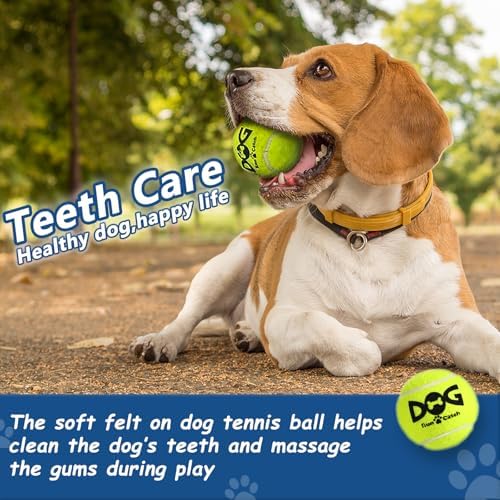 INSUM Tennis Balls for Dogs, 12 Pack Small Medium Dog Toys Balls