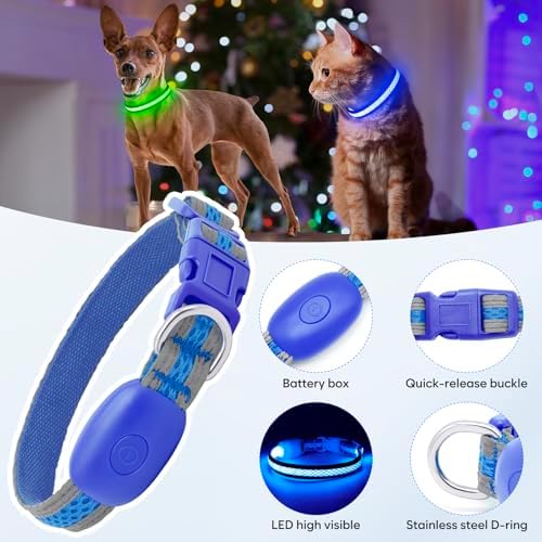 Flashseen LED Dog Collar, Light Up Dog Collar USB Rechargeable, Blue, XS