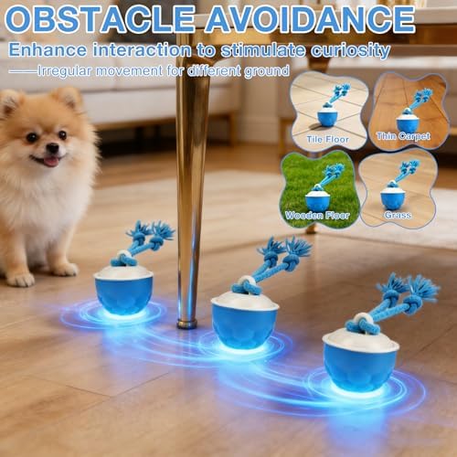 Interactive Dog Toys, 2026 Upgraded Motion Activated Automatic Rolling Ball Toys, USB Rechargeable for Small/Medium/Large Dogs Balls (Orange)