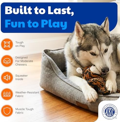 American Kennel Club Plush Dog Toy with Squeaker for Moderate Chewers, Soft Stuffed Dog Toy for Tugging, Fetch & Interactive Play, Gentle on Teeth