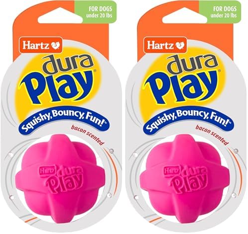 Hartz DuraPlay Bacon Scented Dog Toys, Small (Assorted Color) (Pack of 2)