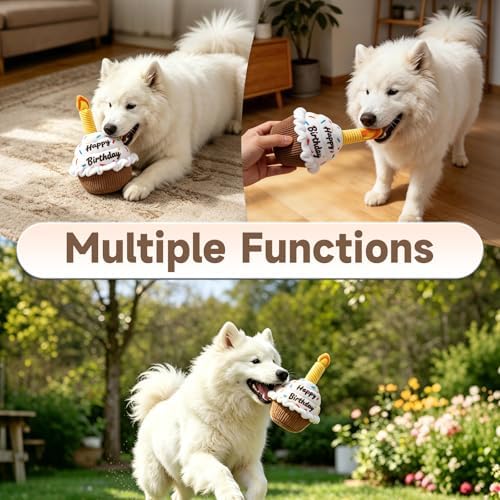 wodoca Dog Birthday Cake Toy, Squeaky Plush Chew Toy for Small to Medium Dogs, Realistic Birthday Party Decor & Puppy Gift for Interactive Play, Teeth Cleaning