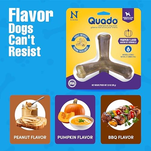 N-Bone Quado Interactive Chew, Pumpkin Flavor, Average Joe, 2.8oz