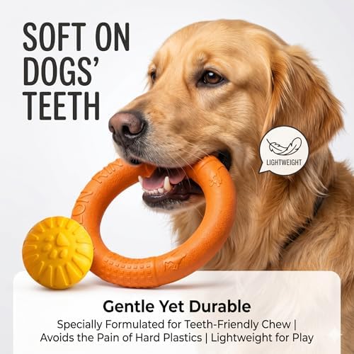 Large Dog Toy Ring and Ball Combo Set, Floating EVA 2 Pack (Orange, Large)