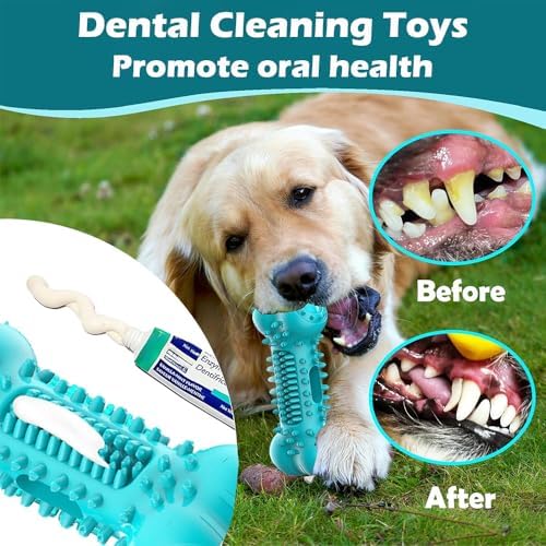 Natural Rubber Bone Dog Chew Toy, Tough Toy for Aggressive Chewers