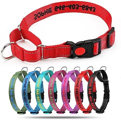 Personalized Martingale Dog Collar-Reflective Martingale Collars with Buckle, Custom Training Martingale Dog Collars Embroidered with Name and Phone Number for Small Medium Large Dogs