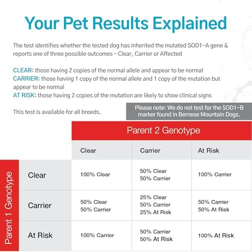 Dog Degenerative Myelopathy (DM) DNA Test | Home Sample Collection Kit for 1 Canine | Puppy DM Testing | Results in 10-15 Working Days | A Complete Kit with No Extra Fees
